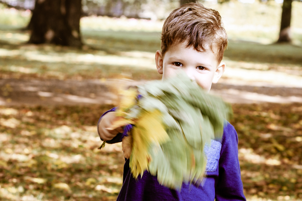 kleiner Junge winkt mit Blätter vom Baum zu - Familienfotos, Familienfotograf, Kinderfotos, Kinderfotograf, Kinderfotografie
